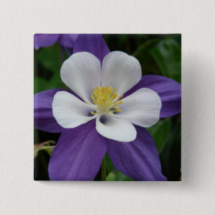 Macaron Carré 5 Cm Bouton Colonne violet et blanc