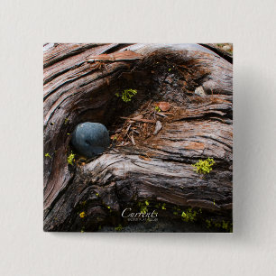 Macaron Carré 5 Cm Bouton Courants