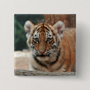 Macaron Carré 5 Cm Bouton de bébé tigre