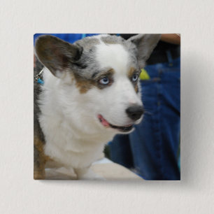 Macaron Carré 5 Cm Bouton de chien de corgi de Gallois de cardigan