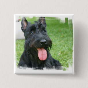 Macaron Carré 5 Cm Bouton de chien de Terrier d'écossais