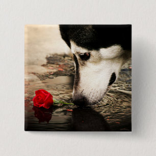 Macaron Carré 5 Cm Bouton de chien et de rose rouge