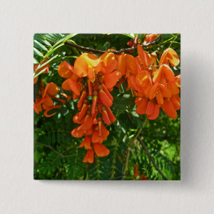 Macaron Carré 5 Cm Bouton de glycines d'écarlate (punicea de