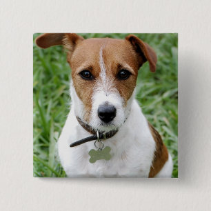 Macaron Carré 5 Cm Bouton de Jack Russell Terrier