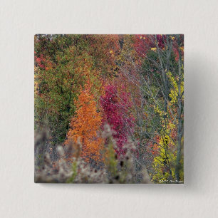 Macaron Carré 5 Cm Bouton de la palette de l'automne