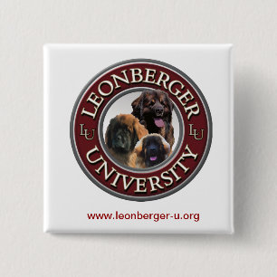 Macaron Carré 5 Cm Bouton de Leonberger U