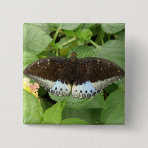 Macaron Carré 5 Cm Bouton de papillon Tropical