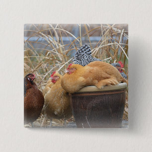 Macaron Carré 5 Cm Bouton de poulet adorable