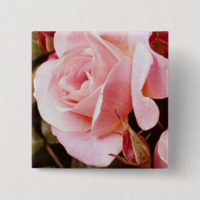 Macaron Carré 5 Cm Bouton de rose de rose (Devant)
