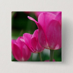Macaron Carré 5 Cm Bouton de tulipes