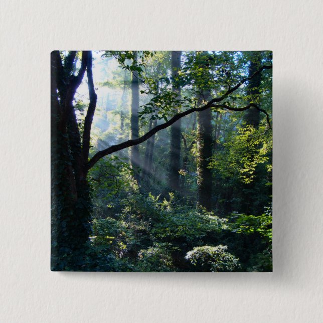 Macaron Carré 5 Cm Bouton d'éclairage (Devant)