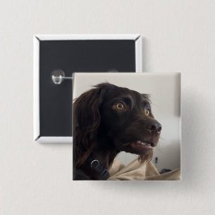 Macaron Carré 5 Cm Bouton d'épingle de mème de chien confus