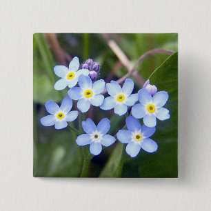 Macaron Carré 5 Cm Bouton des myosotis des marais 2