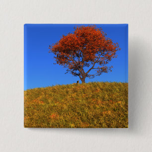 Macaron Carré 5 Cm Bouton Effacer le jour d'automne