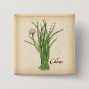 Macaron Carré 5 Cm Bouton Herbe