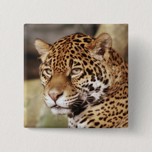 Macaron Carré 5 Cm Bouton Jaguar (Devant)