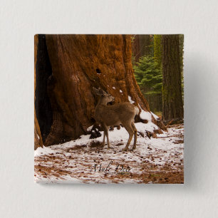 Macaron Carré 5 Cm Bouton Mule Deer