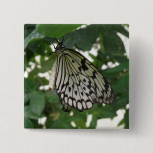 Macaron Carré 5 Cm Bouton Papier Tropical Kite Butterfly