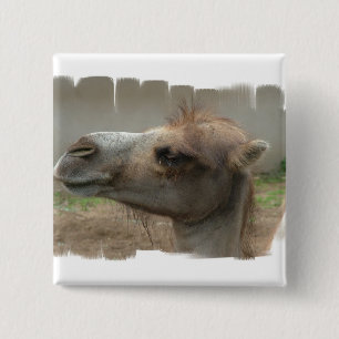 Macaron Carré 5 Cm Bouton principal de chameau