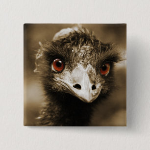 Macaron Carré 5 Cm Bouton Recherche Ostriches