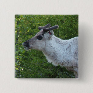 Macaron Carré 5 Cm Bouton Reinder en Laponie