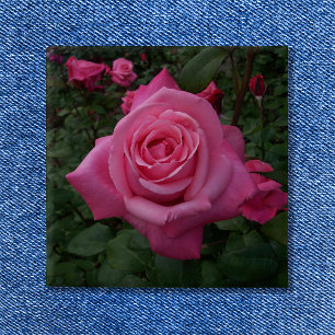 Macaron Carré 5 Cm Bouton rose