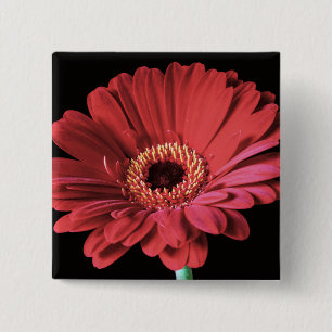 Macaron Carré 5 Cm Bouton rouge de carré de Gerbera