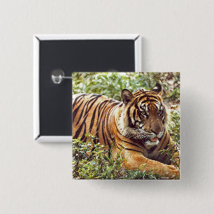 Macaron Carré 5 Cm Bouton sauvage du tigre de Sumatran