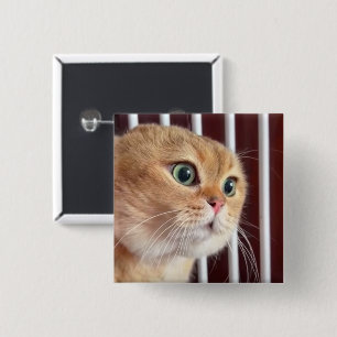 Macaron Carré 5 Cm Bouton Talking Cats Meme Pin
