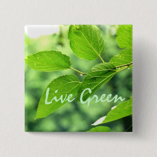 Macaron Carré 5 Cm Bouton 'Vivre Vert'