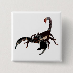 Macaron Carré 5 Cm Boutons Skorpion