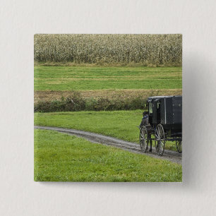 Macaron Carré 5 Cm Calèche amish dans une allée de ferme, Ohio du nor