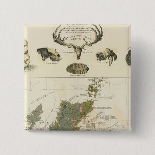 Macaron Carré 5 Cm Carte géologique et paléontologique Îles britan