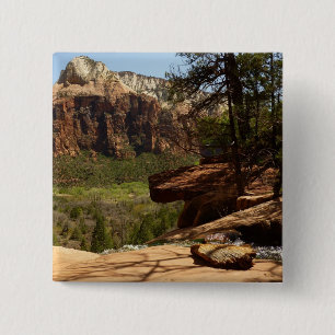 Macaron Carré 5 Cm Cascade des piscines d'Emerald dans le parc nation