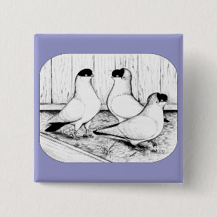 Macaron Carré 5 Cm Casque Pigeon Trio