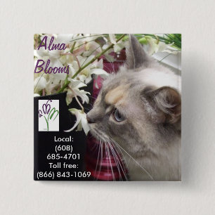 Macaron Carré 5 Cm Cat