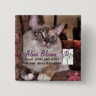 Macaron Carré 5 Cm Cat