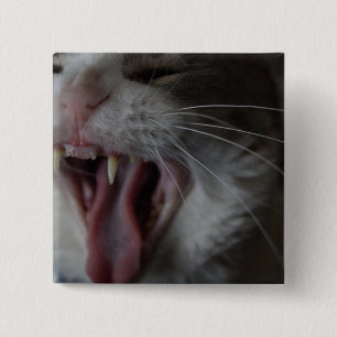 Macaron Carré 5 Cm Cat Yawning
