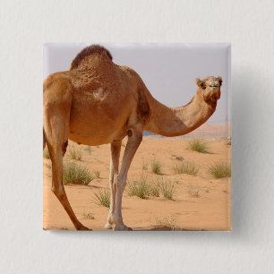 Macaron Carré 5 Cm Chameau pour le Pin carré d'Arabes