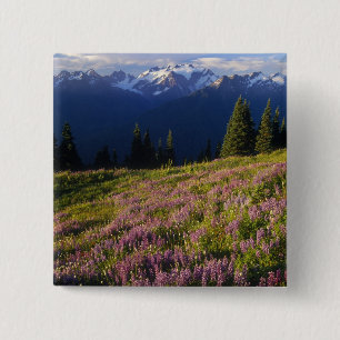 Macaron Carré 5 Cm Champ de lupine, Mt Olympus et nuages à