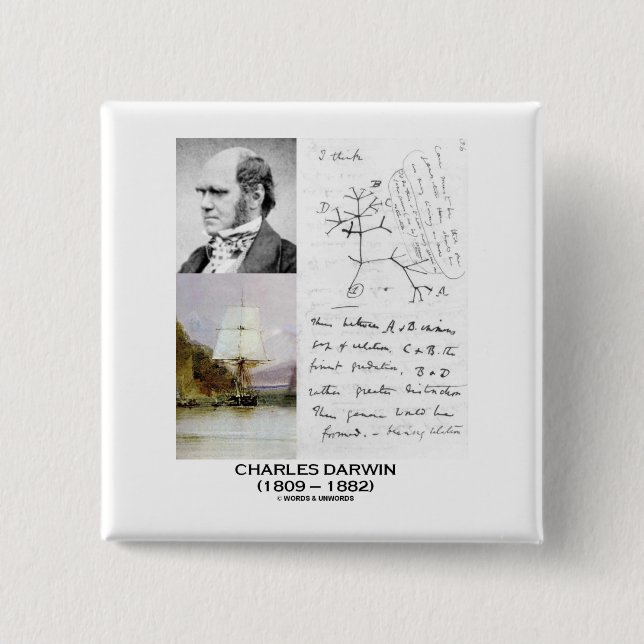 Macaron Carré 5 Cm Charles Darwin (beagle Phylogenetics de voie HMP (Devant)