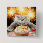 Chat Avec Cupcake Sparkler