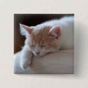Macaron Carré 5 Cm Chaton beige et blanc fatigué