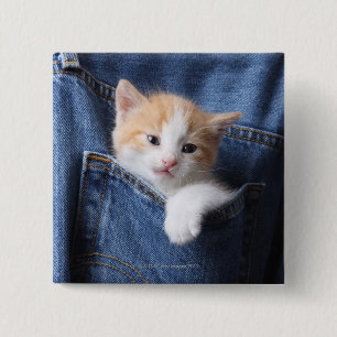 Macaron Carré 5 Cm chaton dans le sac de jeans