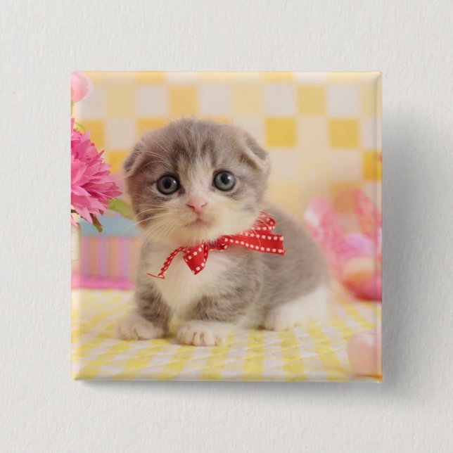 Macaron Carré 5 Cm Chaton de Munchkin (Devant)