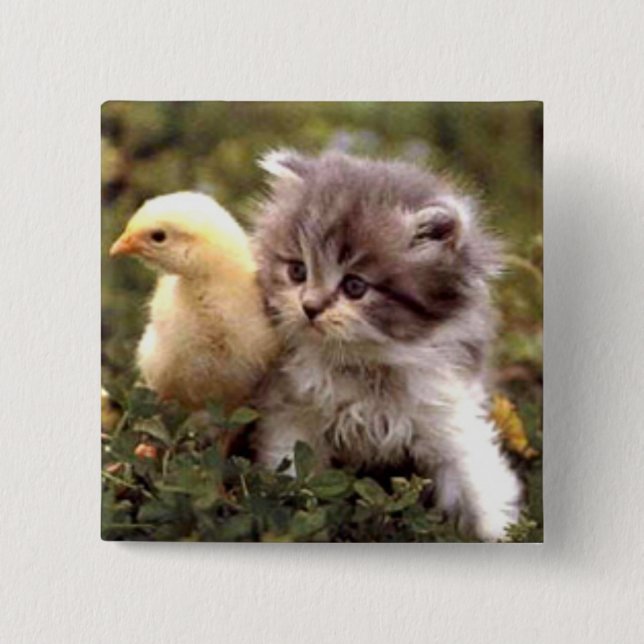 Macaron Carré 5 Cm Chaton et poussin de bébé (Devant)