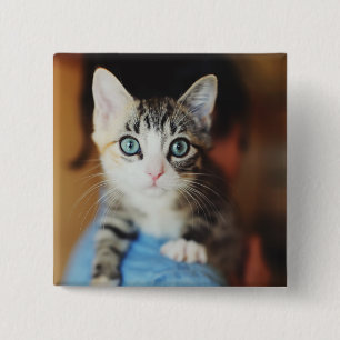 Macaron Carré 5 Cm Chaton observé par bleu lumineux