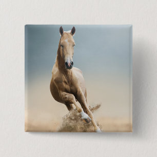 Macaron Carré 5 Cm Cheval d'Akhal-Teke