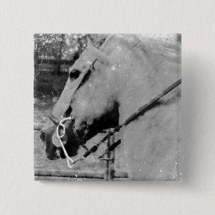 Macaron Carré 5 Cm Cheval en noir et blanc