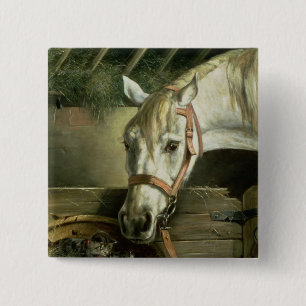 Macaron Carré 5 Cm Cheval et chatons, 1890